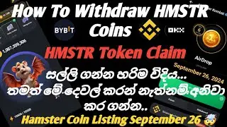 Hamster Kombat Airdrop Withdrawal Sinhala | Hamster Kombat Airdrop Important Update