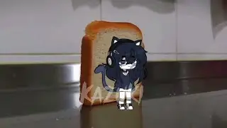 Bread falling over me 🍞