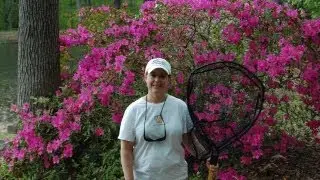 Debbie's Big Catch 2 