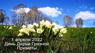 1 апреля 2022 Святая Дарья и Хрисанф. День Дарьи Грязной. Приметы.