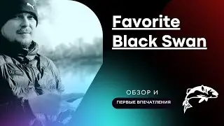 Обзор спиннинга Favorite Black Swan 902ML-T - Первые впечатления и отзыв!