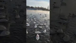 Алтайский край! 2022