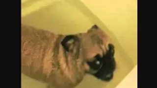TUB FARTS!