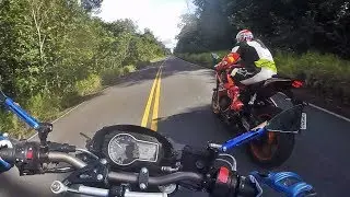 ESTRADA DESERTA E MUITAS CURVAS