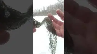 ТЮЛЬ какая