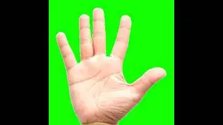 GREEN SCREEN COUNTDOWN FINGERS