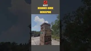 🔥🐝 Everything About Bees Beehives & Honey - Rust Beginner Guide