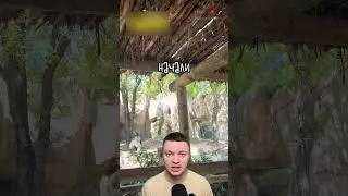 Люди Попали в Ловушку с Гориллой! 😱 🦍