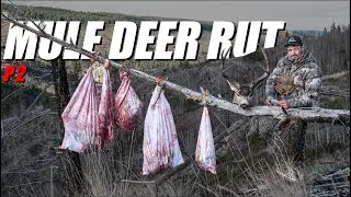 BIG DEER DOWN | MOUNTAIN MULE DEER HUNTING | S1 E35 |ALPINE CARNIVORE