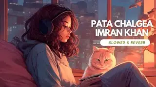 Pata Chalgea Imran Khan slowed reverb lofi new latest instagram trending viral reels song