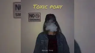 Britney Spears x Ginuwine - Toxic Pony | TikTok Song