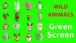 Cartoon - Wild Animals- Green Chroma Screen - Free to Use - No Copyright
