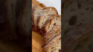 Сырная Пленсиага и рыбный супчик 