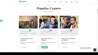 Loveus - NonProfit Charity WordPress Theme