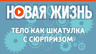 Тело как шкатулка с сюрпризом