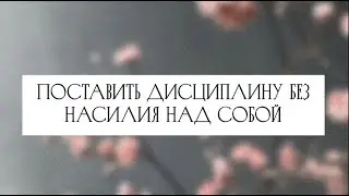 Отзыв: дисциплина, самоценность в работе, любовь к своему телу