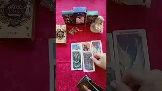КАК ПРОХОДЯТ ВАШИ ЧИСТКИ?