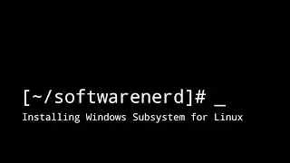 Windows Subsystem for Linux