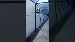 Ско Габита Мусрепова с.Новоишимка