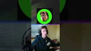 JAK DOBŘE ZNÁŠ ČESKÉ YOUTUBERY?? 😱🎥 #shorts