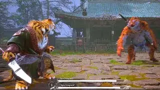 Dad Tiger VS Tiger Vanguard | Black Myth Wukong