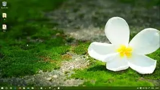 How to create your first PHP project using Wamp Server