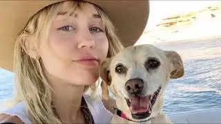 MILEY CYRUS No WRECKING Ball to WORLD Vegan & Wildlife ChildFree Popoulation 4 Animals A to I NEW