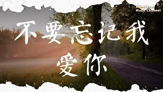 不要忘記我愛你 張碧晨 |pinyin|高音質|動態歌詞Lyrics