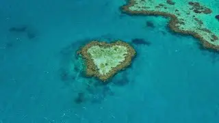 НОВАЯ  AQUA ALLEGORIA FORTE