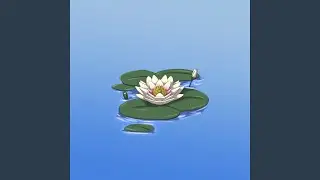 Floating Onwards