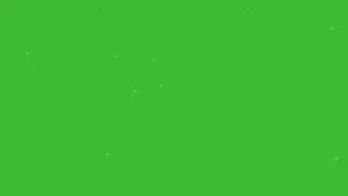 Particle effects   insects green screen