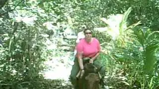 CLIP0025