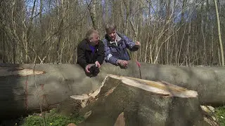 I skoven med Karsten på jagt efter biodiversitet