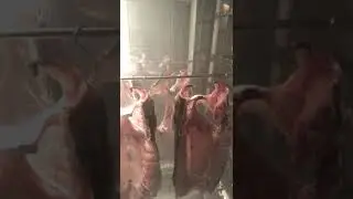 Копчение с Электростатикой. Видео отзыв клиента 