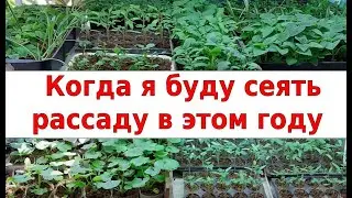 Когда я буду сеять рассаду в этом году. Приблизительные даты