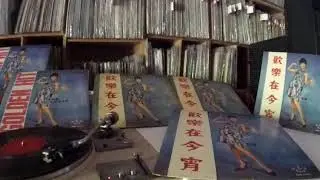 霜華 Shuang Hua -- b3 夜色茫茫
