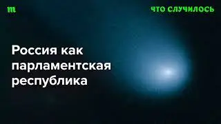 Что такое парламентская республика и подходит ли она России?