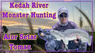 DQ Kedah river Toman hunting / Alor Setar Snakehead fishing