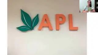 APL GO Черемных Павел и Кислицына Анастасия вебинар от 20.07.2017