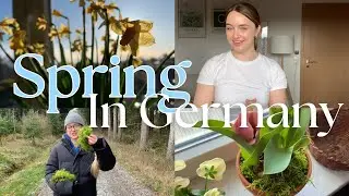 Spring in Germany | VLOG