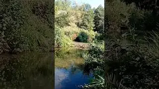 Илим. Неверкино