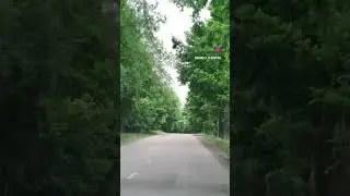 26 июня 2024 г.