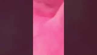АДЛЕР 2022  СОЧИ ПАРК ОТЕЛЬ 🌊