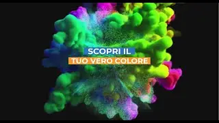 Il tuo Vero Colore - Scopri la tua Personalità Primaria con DigitalDojo