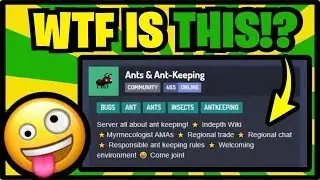 Trolling An Unexplainable Discord Server