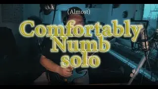 Almost Comfortably Numb