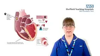 Medicines of the heart