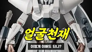 Sentinel Riobot Heavy Metal L-GAIM Review [SUB]