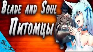Blade and Soul - Питомцы И открытия сундуков с ежедневок (Не актуально)