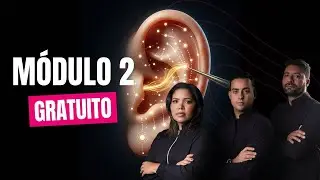 Curso de Auriculoterapia Chinesa Gratuito- Módulo 2